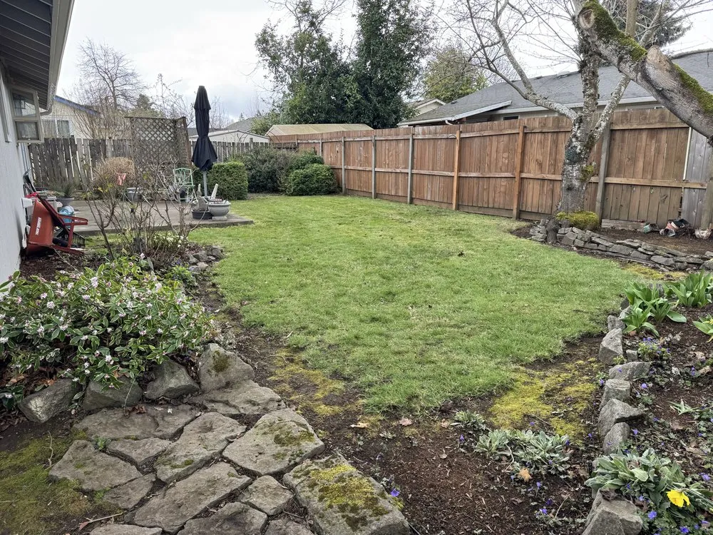 Affordable yard maintenance experts serving Silverton, OR - Nw Service Experts