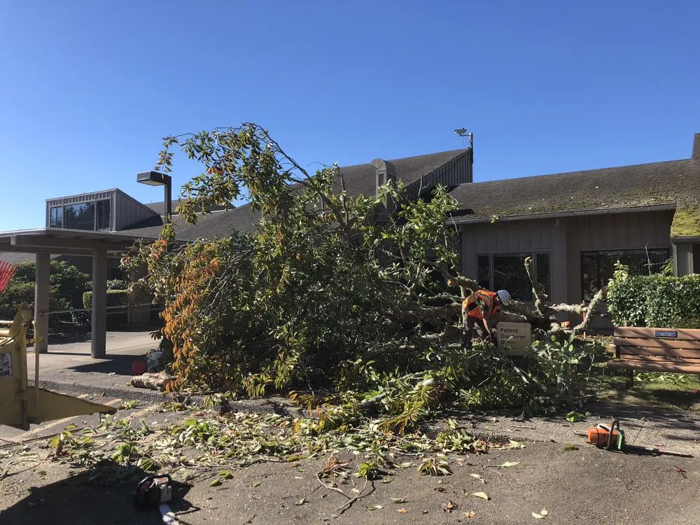 Top-rated landscape installation in Lincoln City, OR by NW Tree & Landscape
