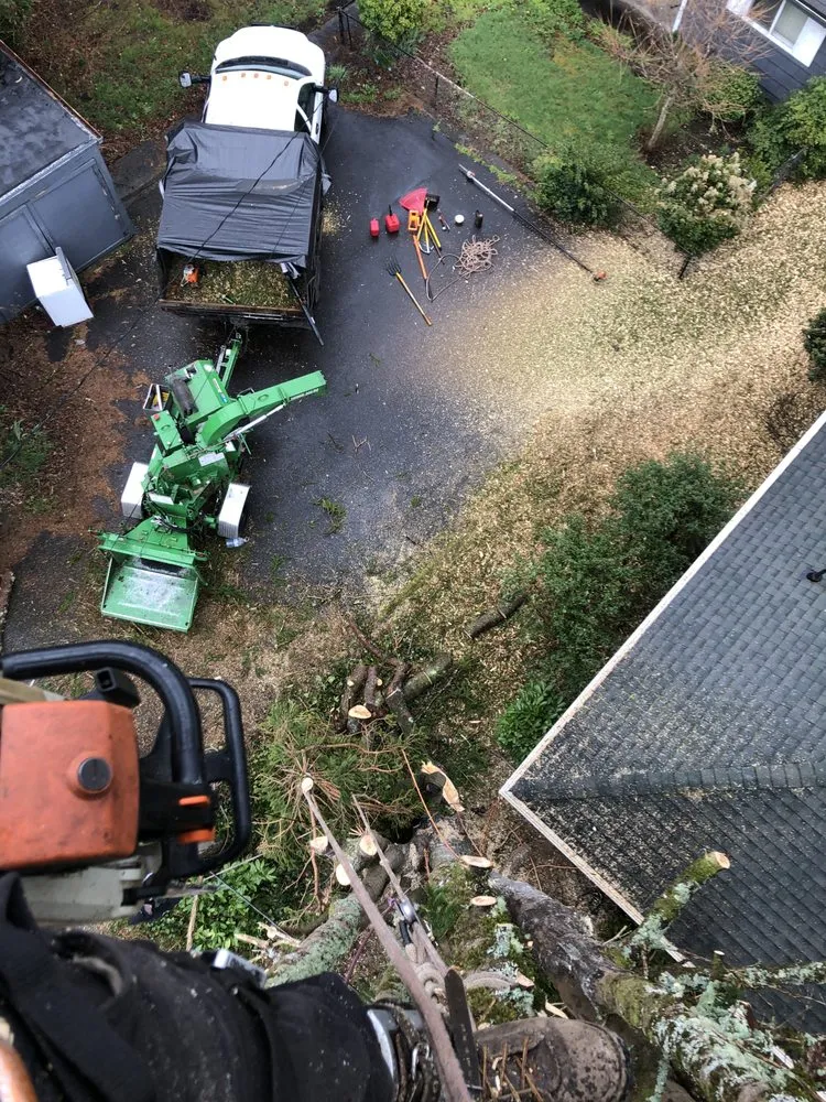 Affordable landscaping services in Lincoln City, OR by NW Tree & Landscape