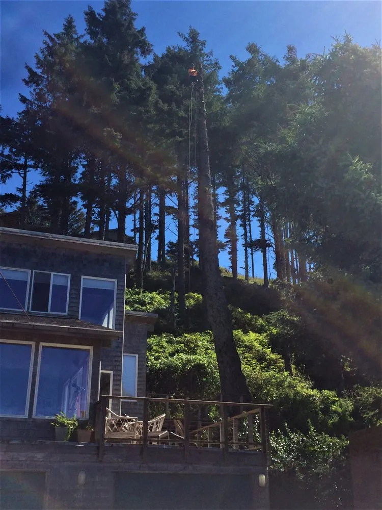 Trusted yard cleanup service for beautiful yards in Lincoln City, OR by NW Tree & Landscape