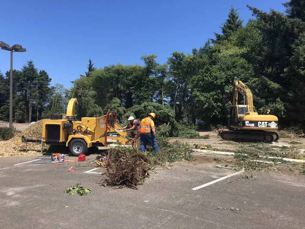 Expert landscape design in Lincoln City, OR - NW Tree & Landscape