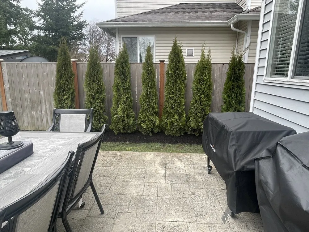 Top-rated landscape design experts serving Orting, WA - NW Tree Farm