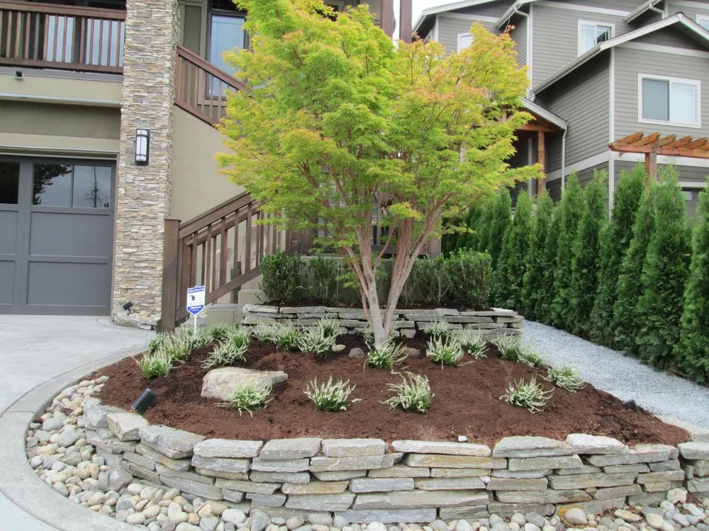 Expert yard cleanup service in Orting, WA by NW Tree Farm