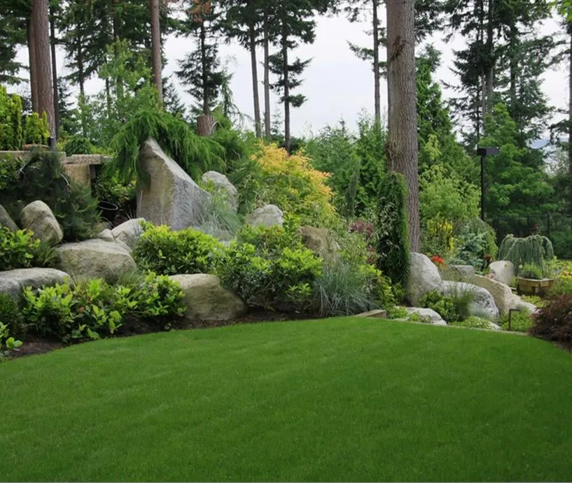 Trusted landscaping services experts serving Portland, OR - NW Tree Work