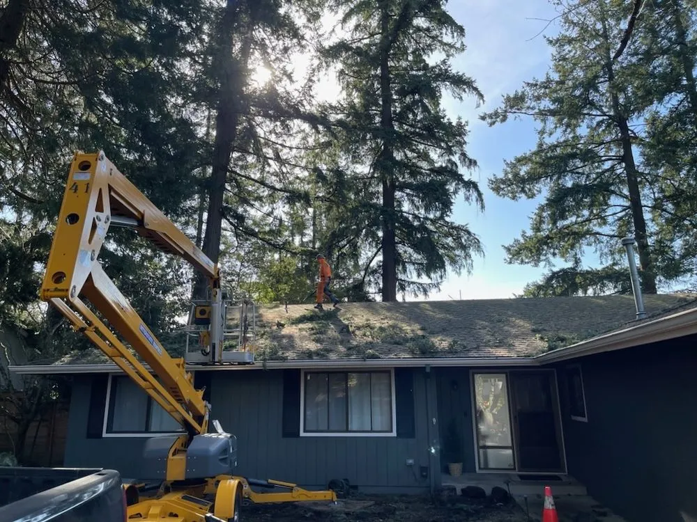 Custom lawn mowing service experts serving Portland, OR - NW Tree Work