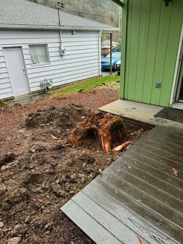 Affordable residential landscaping in Portland, OR - NW Tree Work