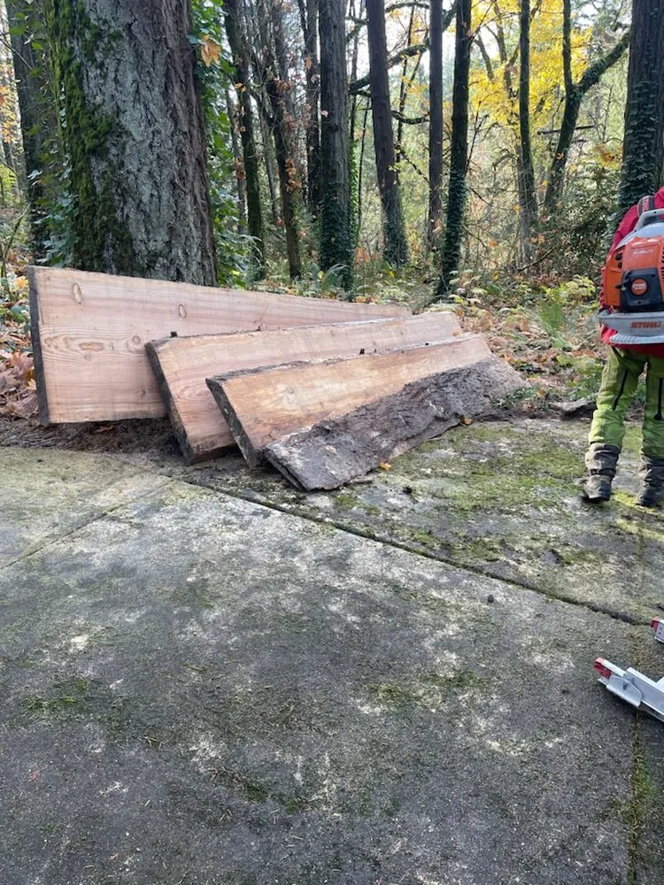 Reliable residential landscaping in Portland, OR by NW Tree Work