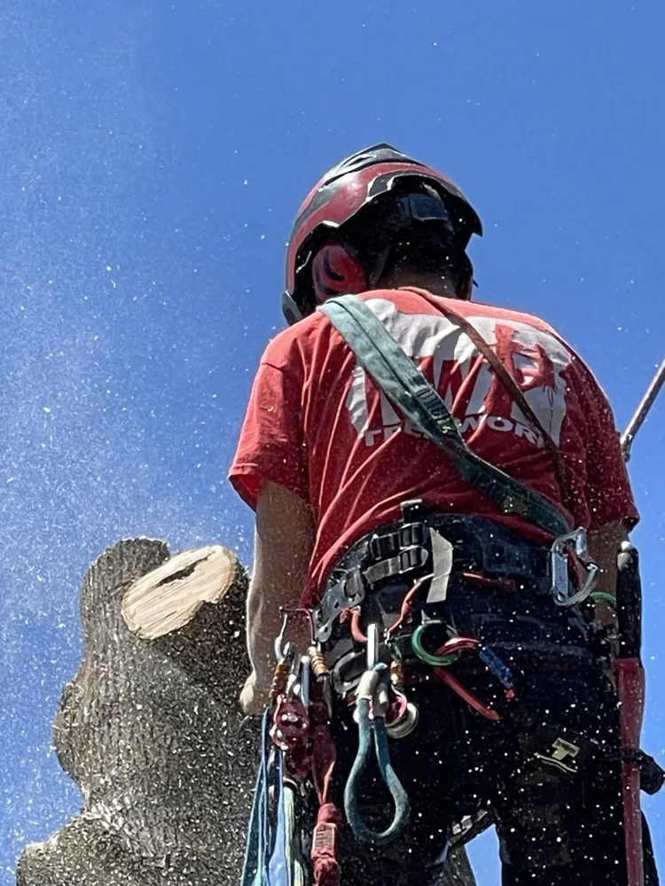 Professional landscape installation for year-round maintenance across Portland, OR - NW Tree Work