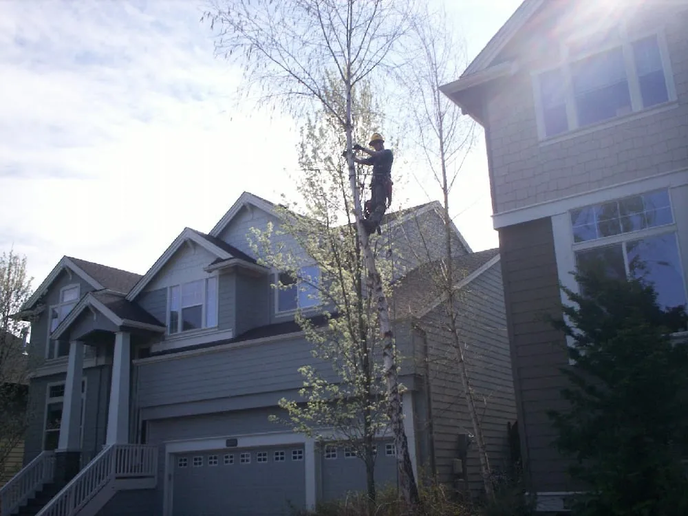 Local lawn mowing service experts serving Portland, OR - NW Tree Work