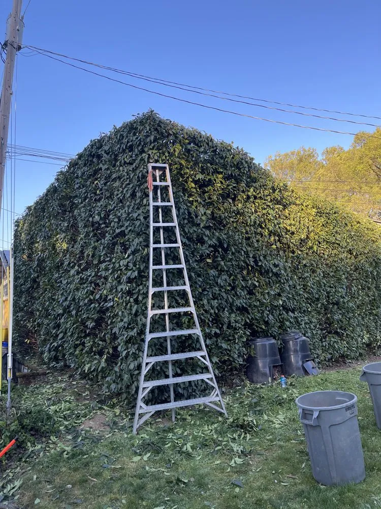 Affordable residential landscaping for residential properties across Portland, OR - NW Tree Work
