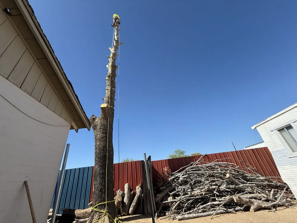 Local lawn care service for residential properties in Casas Adobes, AZ by NW Tucson Landscaping Service