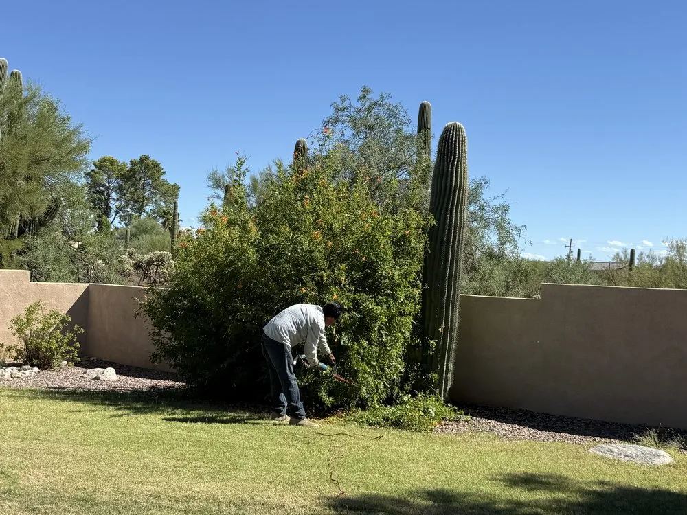 Affordable lawn care service in Casas Adobes, AZ - NW Tucson Landscaping Service
