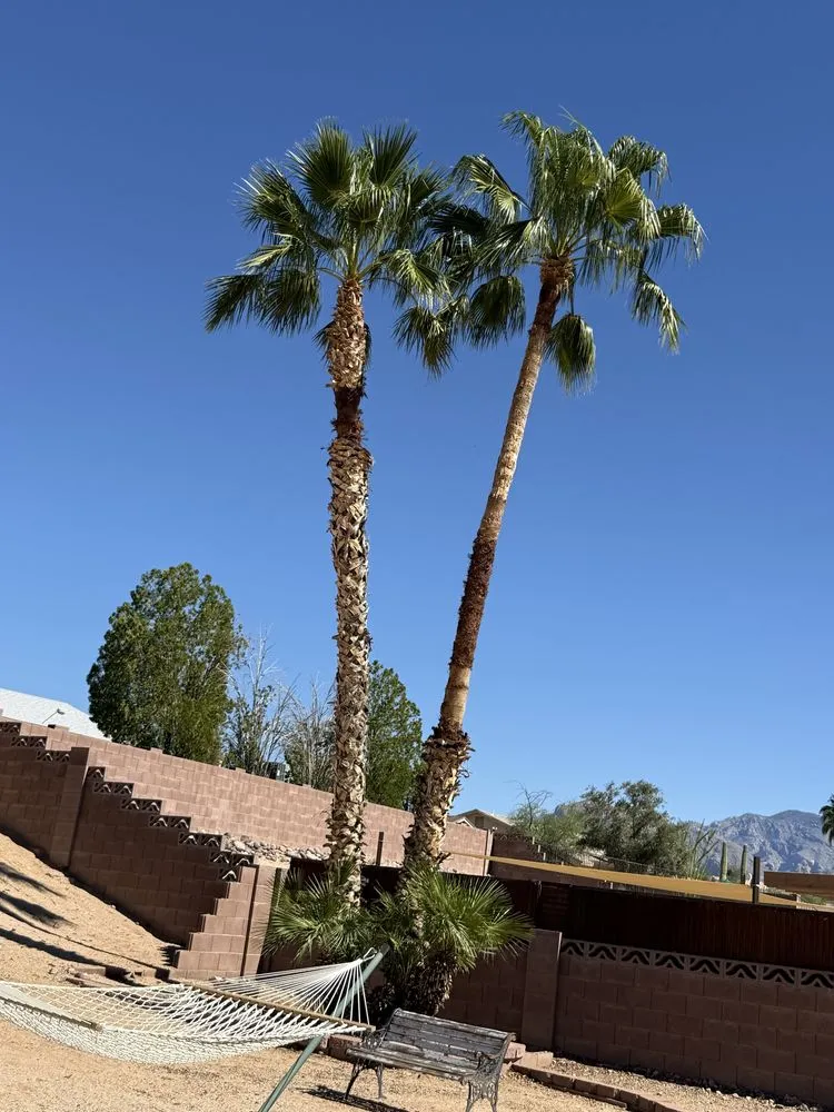 Reliable landscaping services near you across Casas Adobes, AZ - NW Tucson Landscaping Service