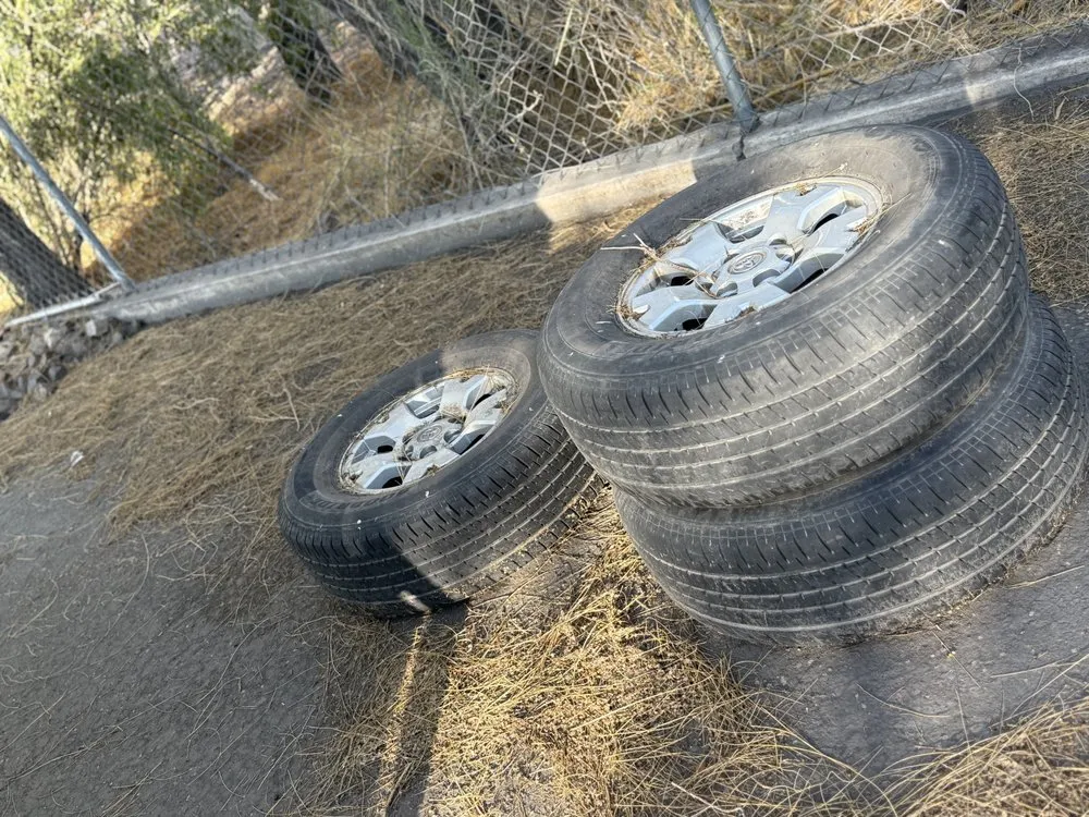 Affordable landscaping services in Casas Adobes, AZ - NW Tucson Landscaping Service