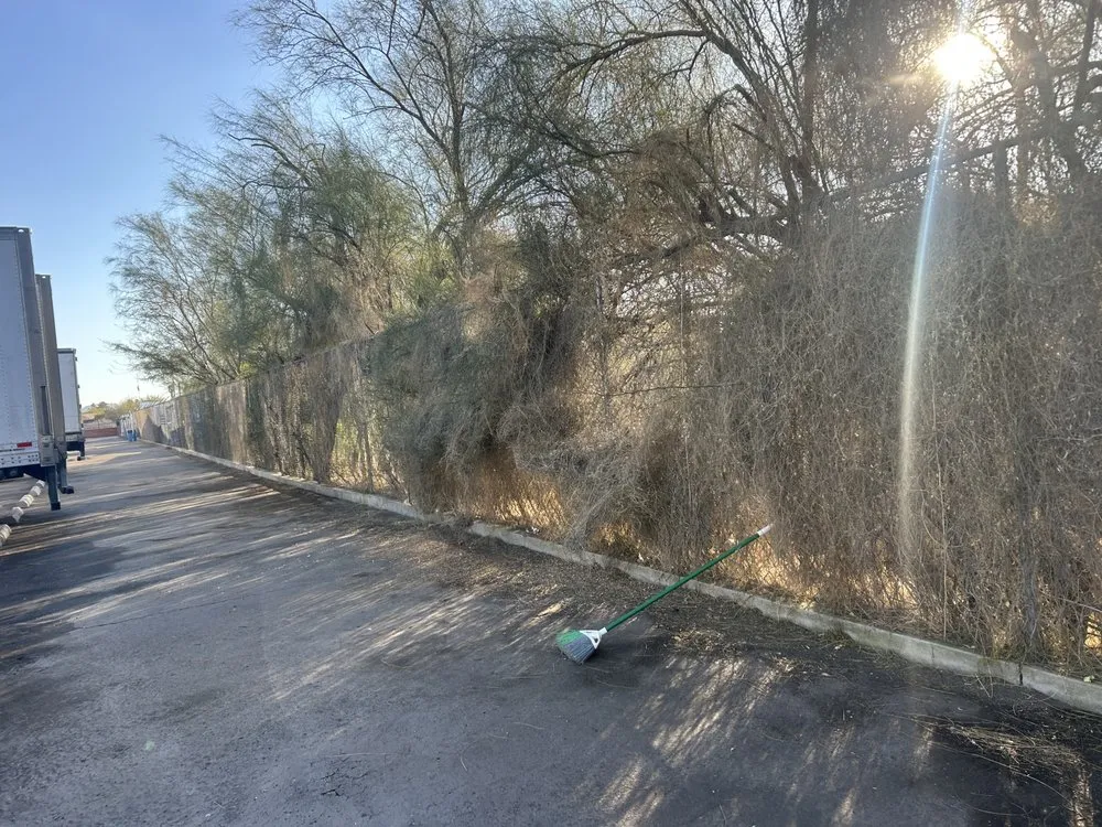 Expert outdoor landscaping with custom design across Casas Adobes, AZ - NW Tucson Landscaping Service