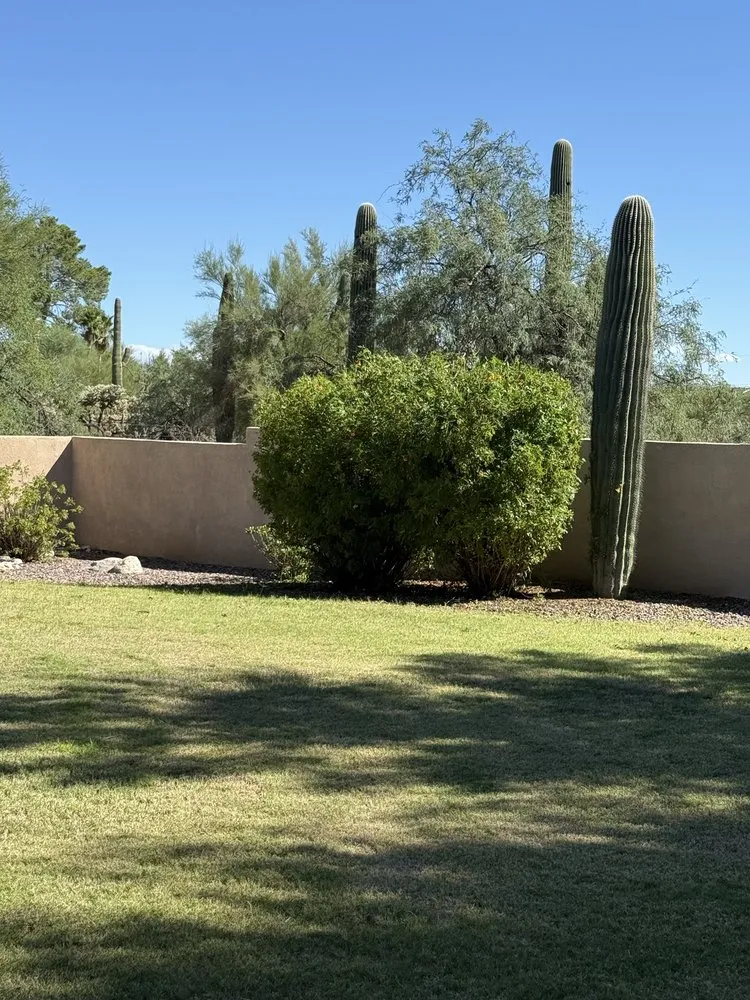 Trusted garden landscaping for outdoor upgrades in Casas Adobes, AZ by NW Tucson Landscaping Service