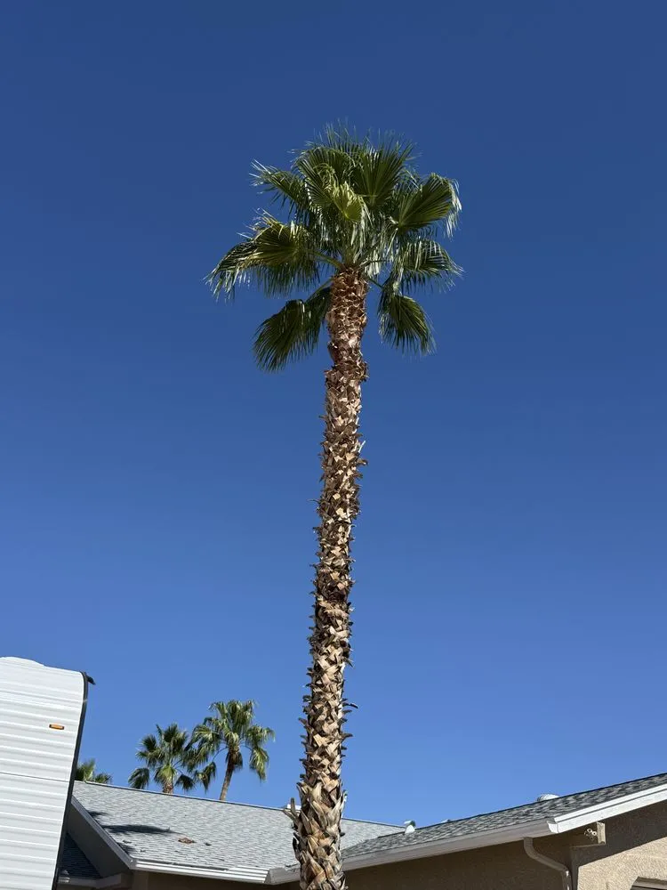 Trusted landscape design experts serving Casas Adobes, AZ - NW Tucson Landscaping Service