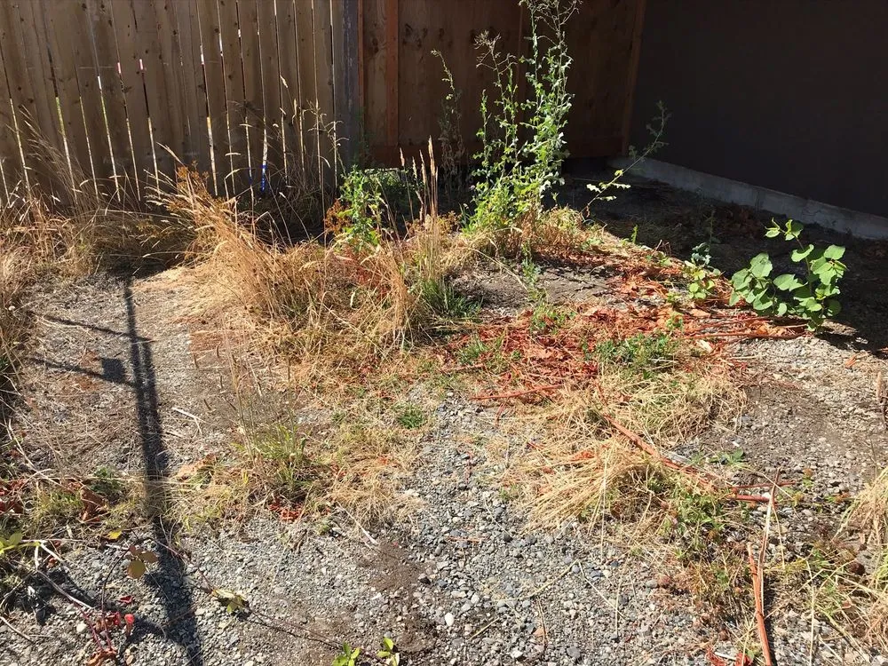 Custom lawn care service in Bellingham, WA - NW Views Landscaping