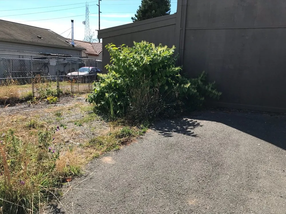 Affordable outdoor landscaping experts serving Bellingham, WA - NW Views Landscaping