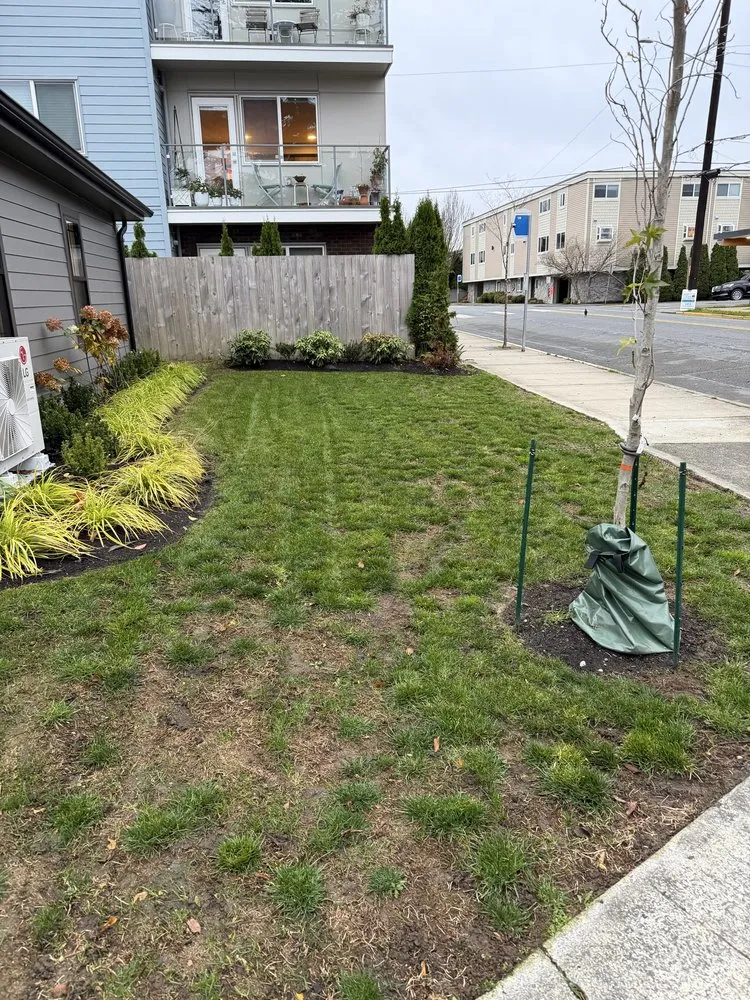 Expert yard cleanup service for residential properties in Shoreline, WA by NW Yard Services