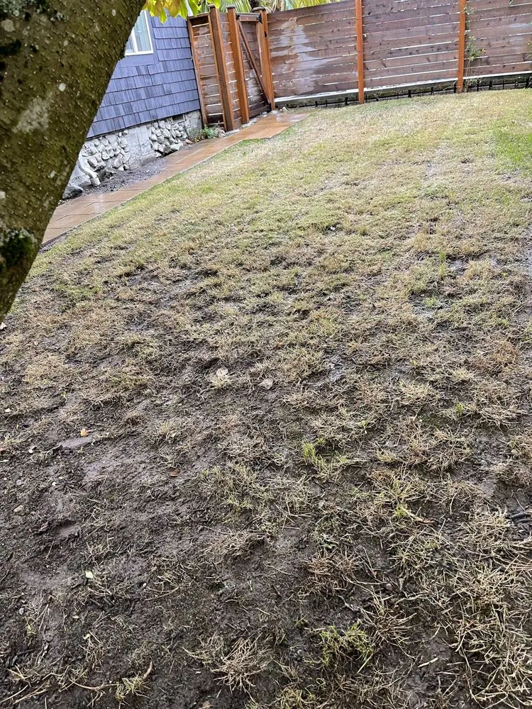 Top-rated landscape installation in Shoreline, WA - NW Yard Services