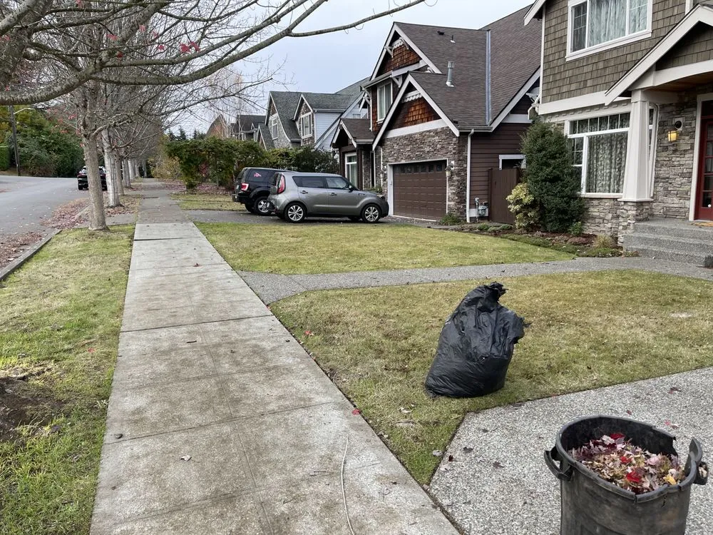 Professional landscape design in Shoreline, WA by NW Yard Services