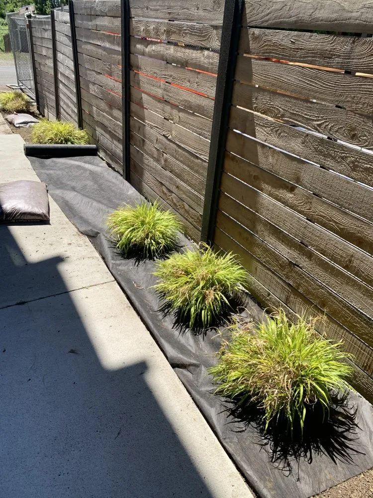 Reliable yard cleanup service near you in Shoreline, WA by NW Yard Services