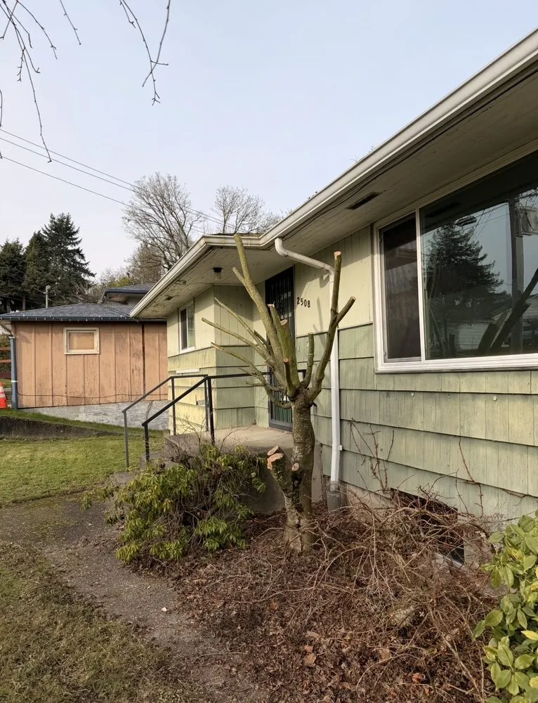 Local outdoor landscaping in Shoreline, WA - NW Yard Services