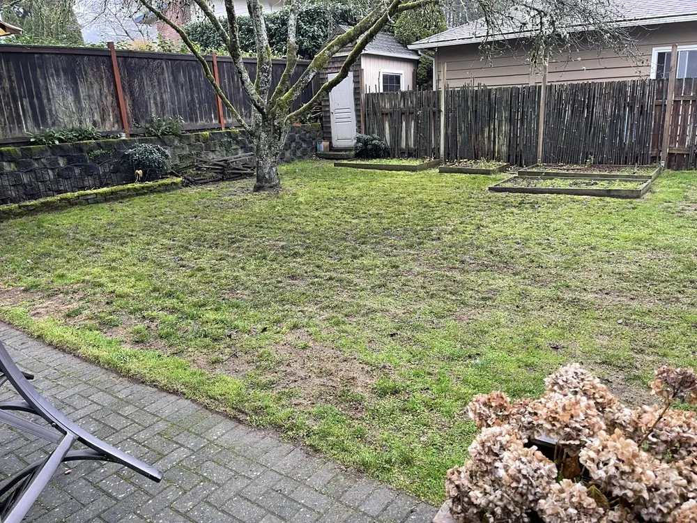 Local lawn mowing service near you across Shoreline, WA - NW Yard Services