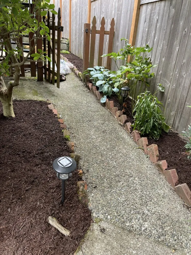 Custom yard maintenance for year-round maintenance across Shoreline, WA - NW Yard Services