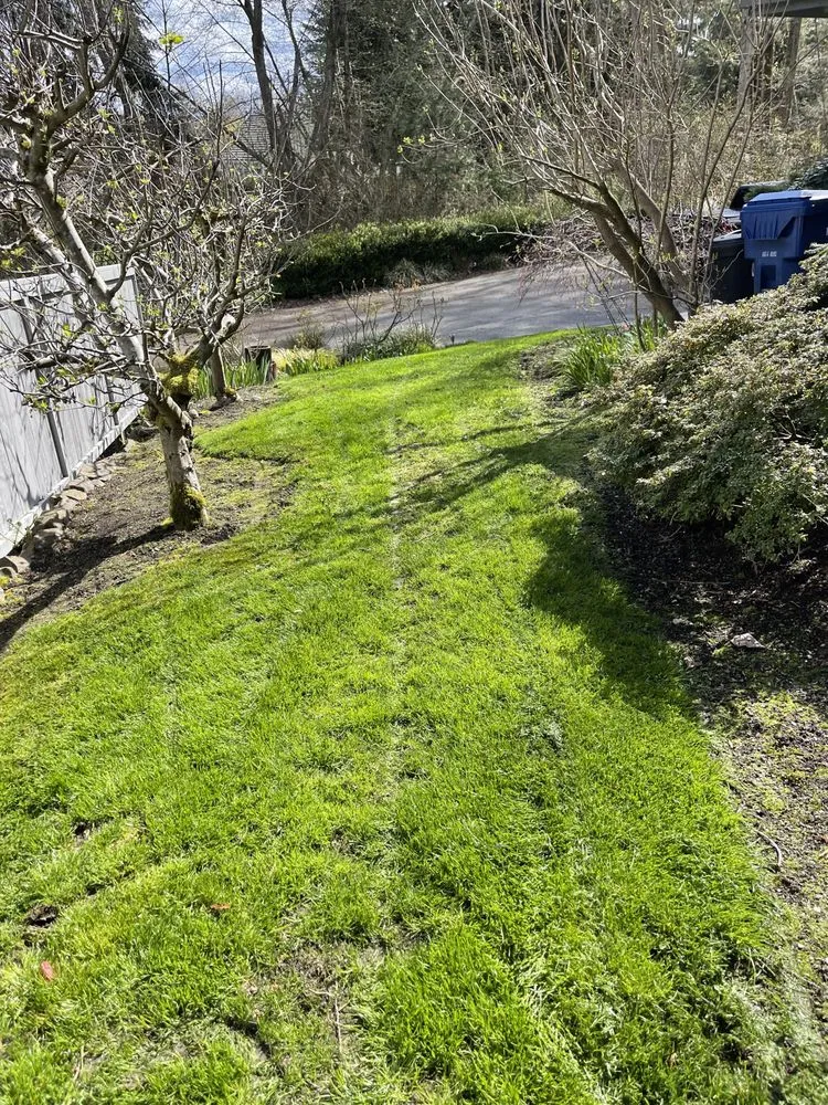 Trusted garden landscaping in Shoreline, WA - NW Yard Services