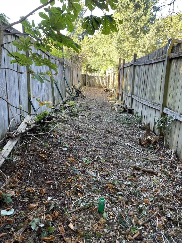 Affordable lawn mowing service in Shoreline, WA - NW Yard Services