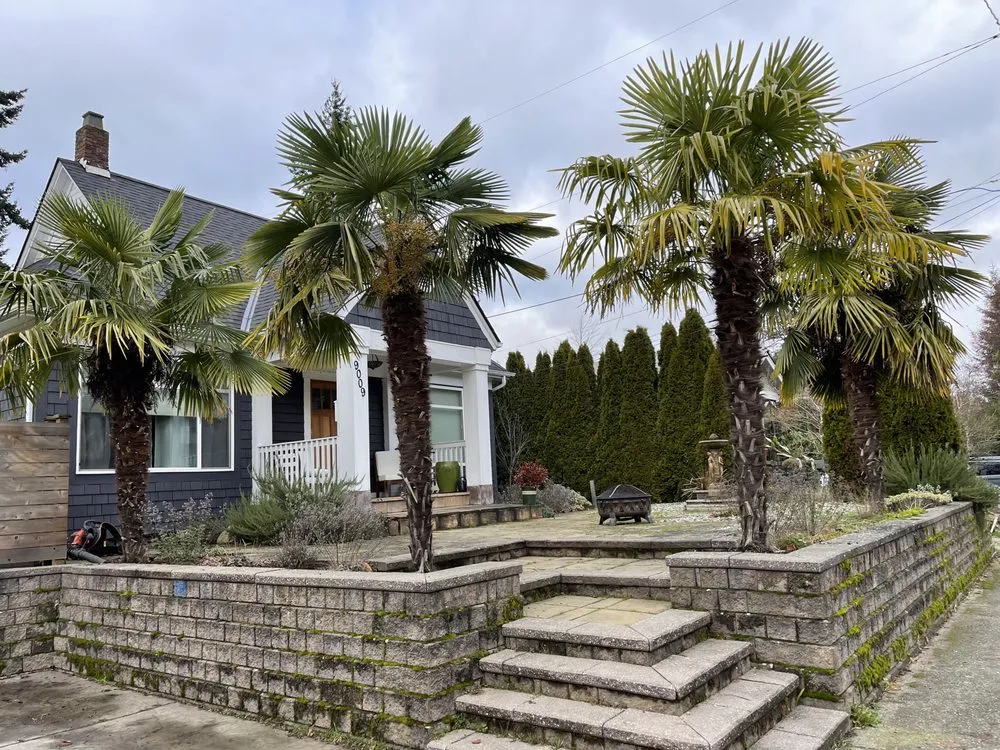 Trusted lawn care service for beautiful yards across Shoreline, WA - NW Yard Services