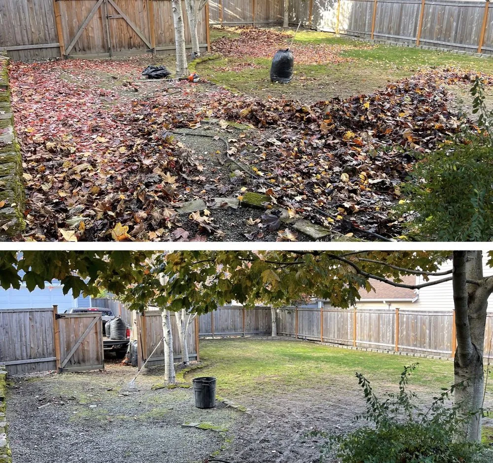 Local lawn mowing service experts serving Shoreline, WA - NW Yard Services