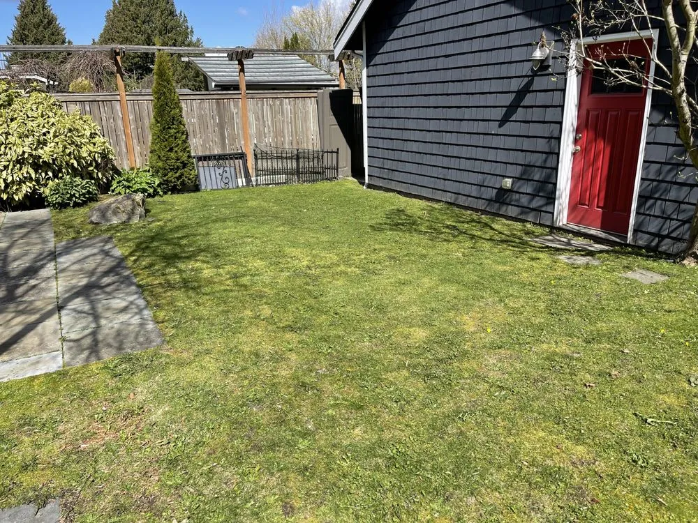 Expert landscape installation in Shoreline, WA - NW Yard Services