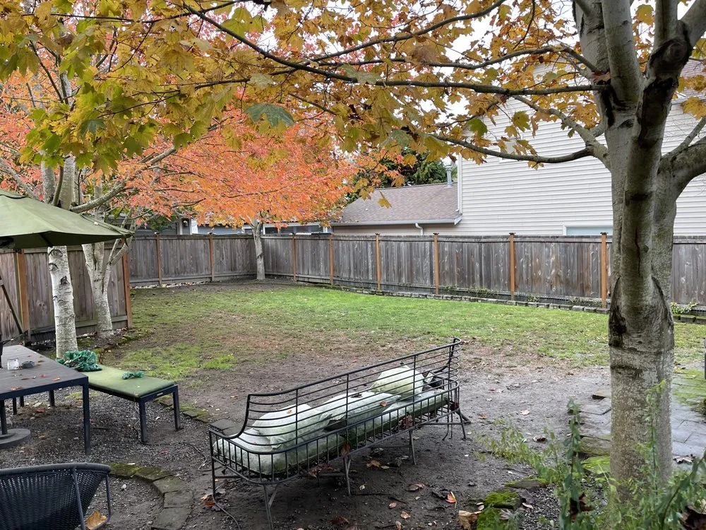 Expert residential landscaping experts serving Shoreline, WA - NW Yard Services