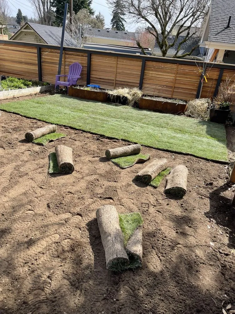 Top-rated yard cleanup service experts serving Shoreline, WA - NW Yard Services