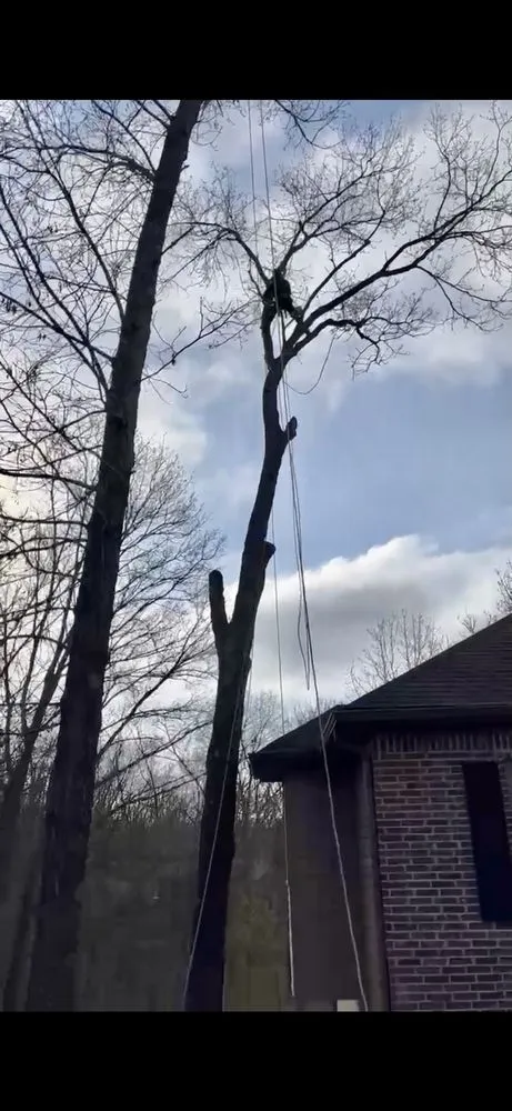 Professional landscape installation experts serving Rogers, AR - NWA Brothers Tree Service