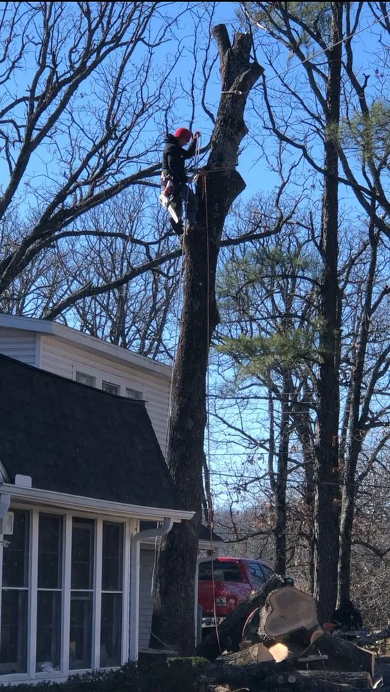 Trusted outdoor landscaping in Rogers, AR - NWA Brothers Tree Service