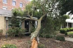 Trusted outdoor landscaping in Rogers, AR - NWA Brothers Tree Service