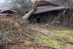 Trusted landscape installation with custom design in Rogers, AR by NWA Brothers Tree Service