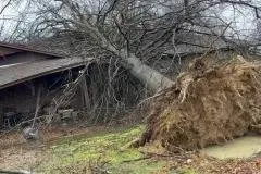 Custom lawn mowing service with custom design across Rogers, AR - NWA Brothers Tree Service