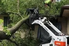 Trusted yard cleanup service in Rogers, AR by NWA Brothers Tree Service