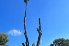 Trusted landscaping services for outdoor upgrades across Rogers, AR - NWA Brothers Tree Service