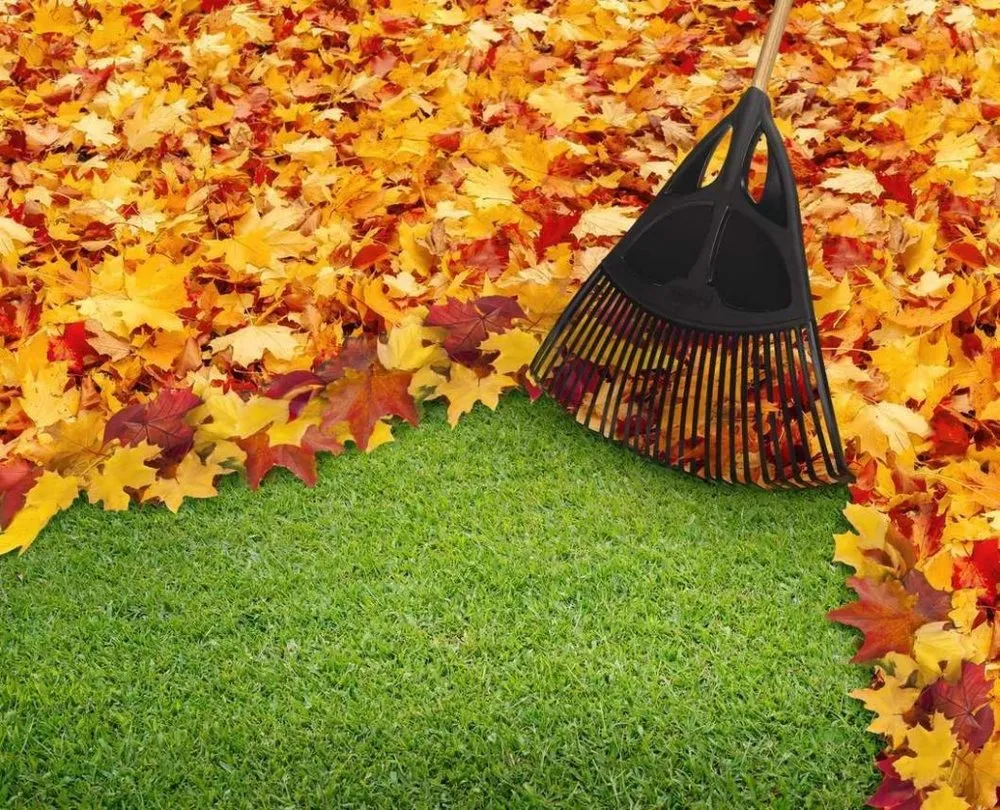 Affordable yard cleanup service in Pea Ridge, AR - NWA Lawn Jobber