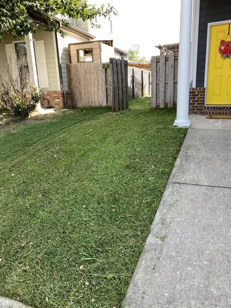 Reliable yard cleanup service in Pea Ridge, AR - NWA Lawn Jobber