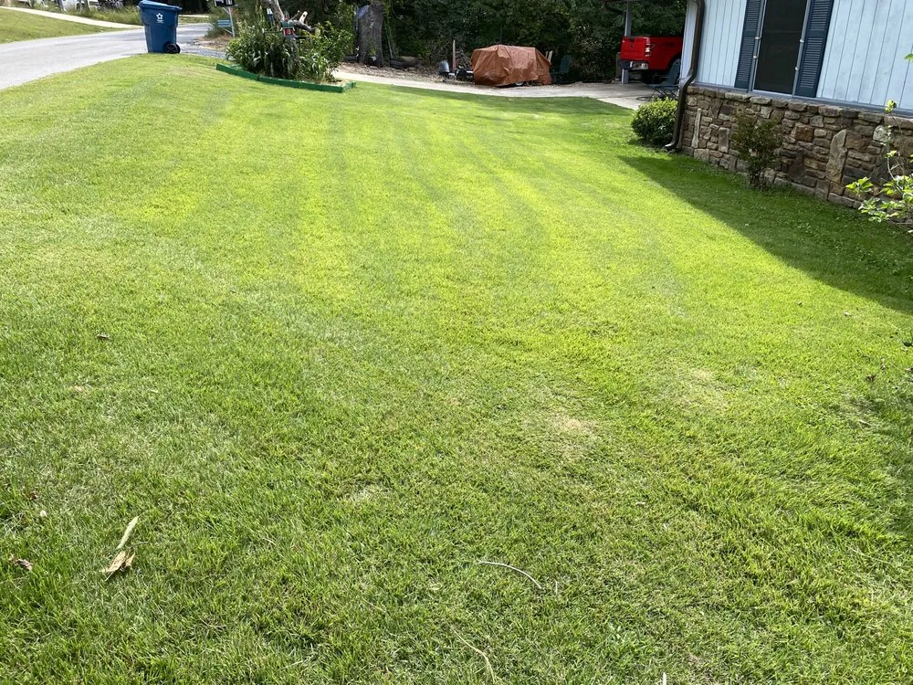 Professional residential landscaping experts serving Pea Ridge, AR - NWA Lawn Jobber