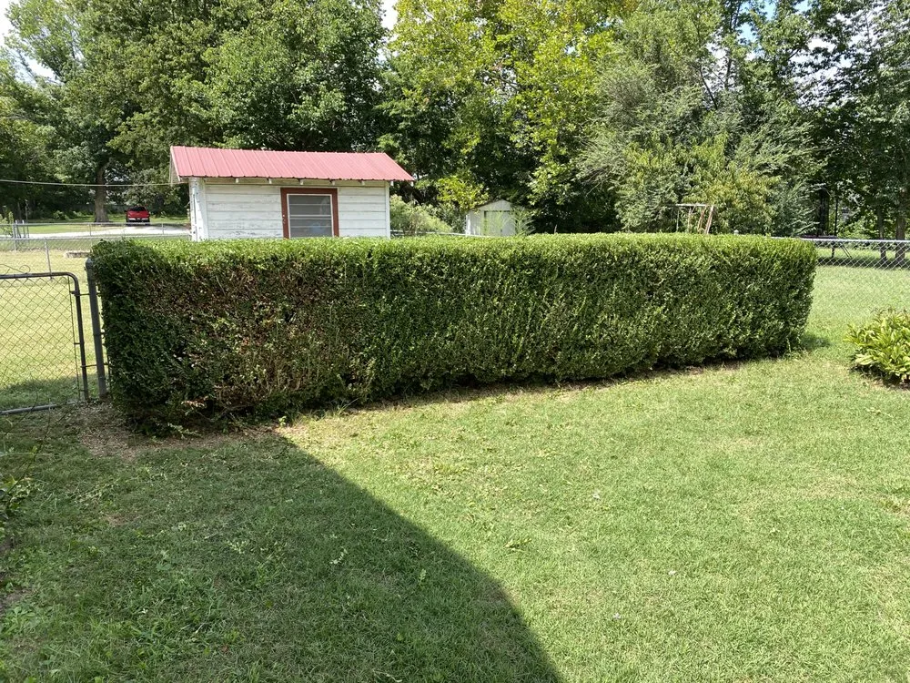 Top-rated outdoor landscaping for beautiful yards in Pea Ridge, AR by NWA Lawn Jobber