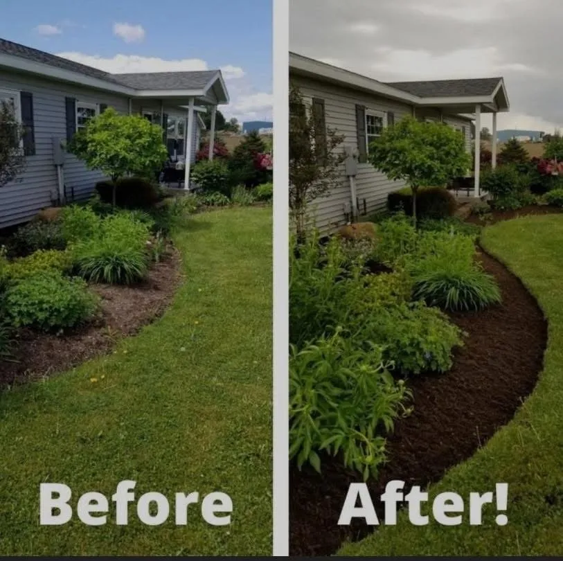 Top-rated lawn mowing service for outdoor upgrades across Bellevue, WA - Nwhera Landscaping