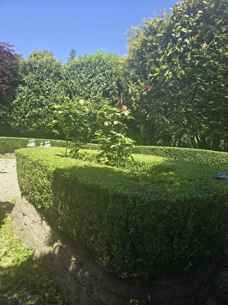 Expert landscape installation experts serving Bellevue, WA - Nwhera Landscaping